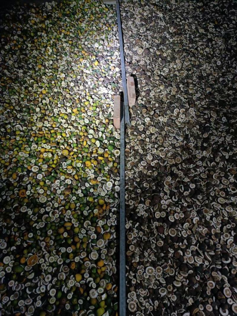 赣南脐橙落地果货源充足全国发货质量保证