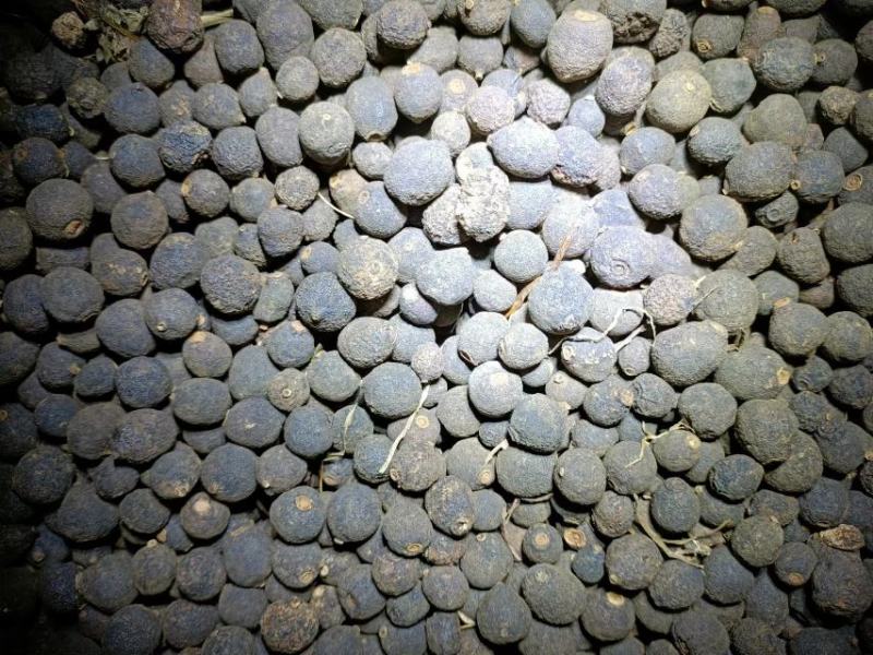赣南脐橙落地果货源充足全国发货质量保证