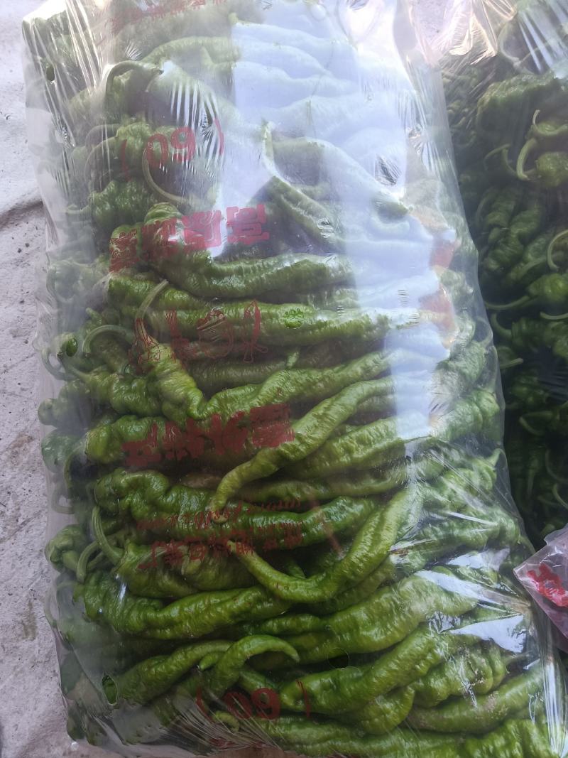陇椒量大从优