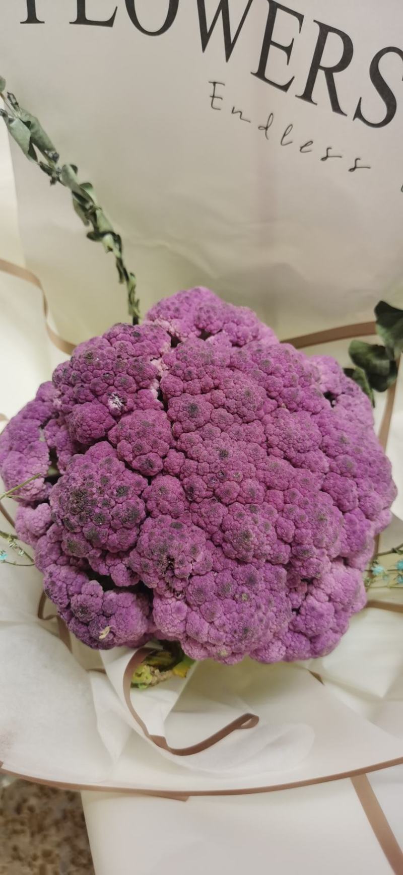 紫花菜种子早熟花椰菜大田专用紫花特色蔬菜春秋种植耐寒