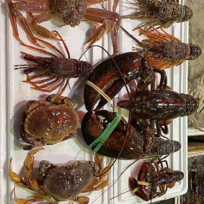 生冻海鲜