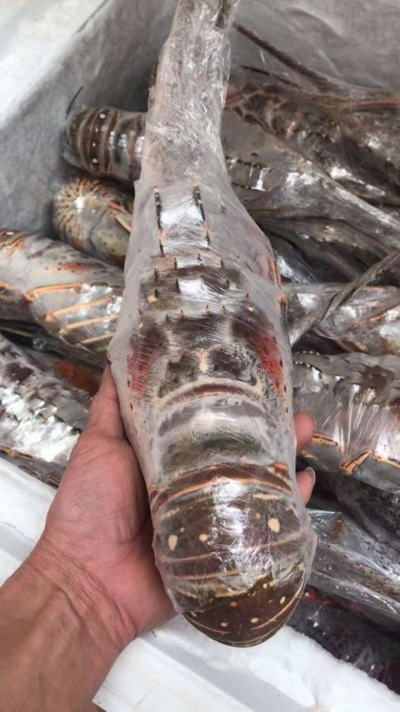 生冻海鲜