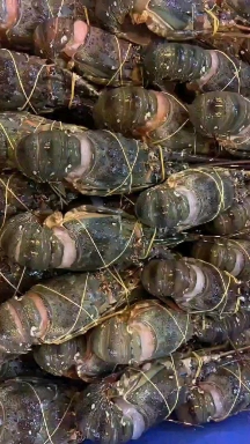 生冻海鲜