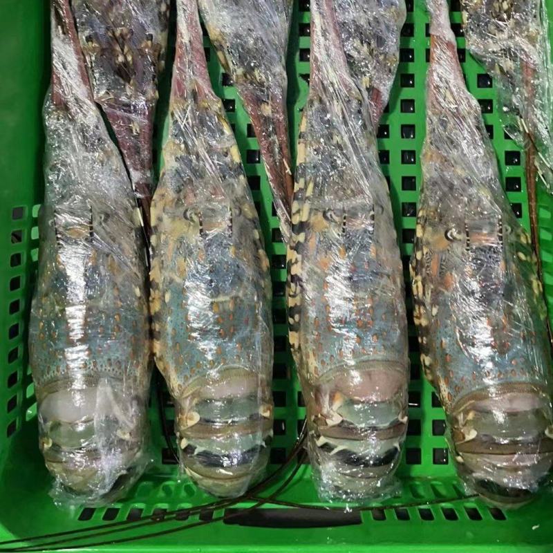 生冻海鲜