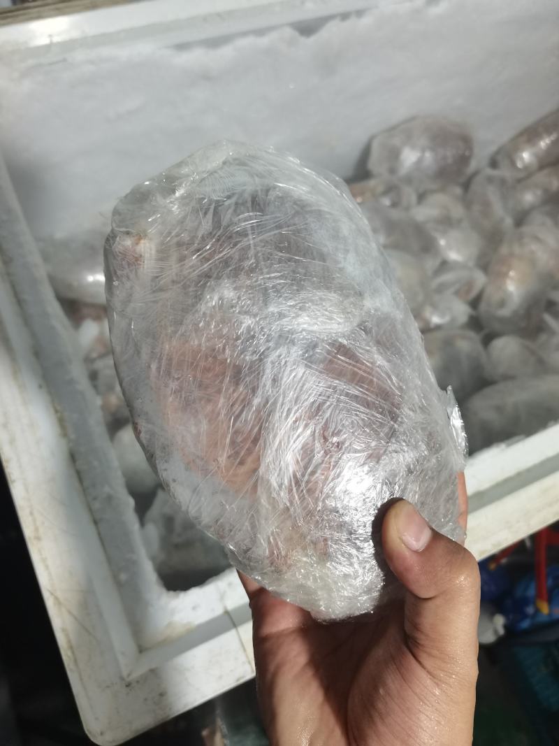 生冻海鲜