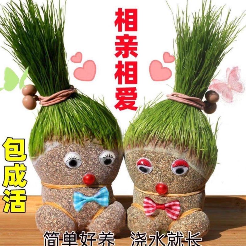 浇水长草头娃娃迷你可爱创意网红小植物盆栽室内抖音同款孩子