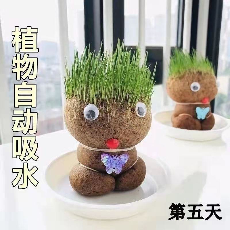 浇水长草头娃娃迷你可爱创意网红小植物盆栽室内抖音同款孩子