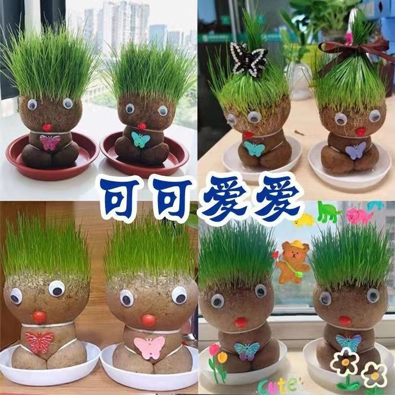 浇水长草头娃娃迷你可爱创意网红小植物盆栽室内抖音同款孩子