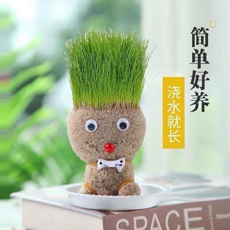 浇水长草头娃娃迷你可爱创意网红小植物盆栽室内抖音同款孩子