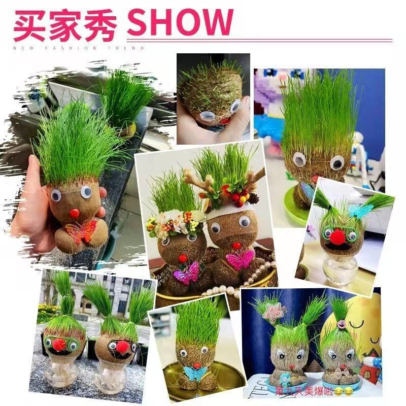 浇水长草头娃娃迷你可爱创意网红小植物盆栽室内抖音同款孩子