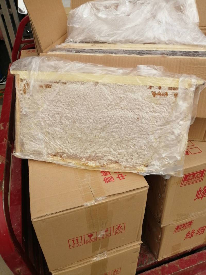 蜂巢蜜。整张新蜜脾新巢蜂蜜整张封口率好支持批发零售
