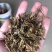 梅干菜