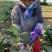 【牛商推荐】定西精品西兰花大量上市、质量保证、价格优惠