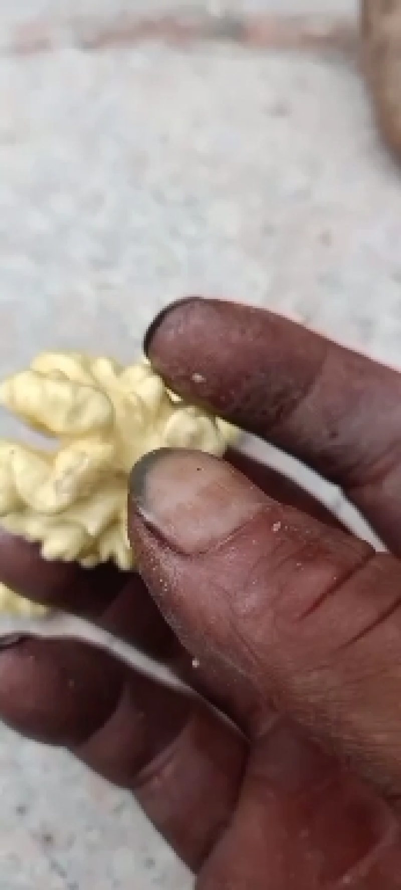 赞皇手摘青皮核桃。有辽核，青香，香玲，礼品。等几大品种。