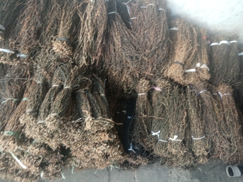 优质精品大量供应豆角干豆角干豇豆长豇豆鲜豇豆鲜豆角批发