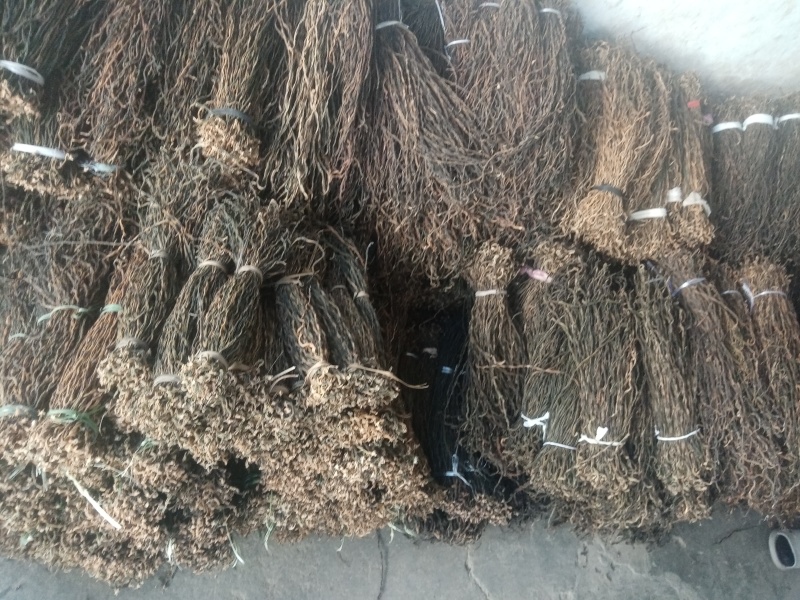 优质精品大量供应豆角干豆角干豇豆长豇豆鲜豇豆鲜豆角批发