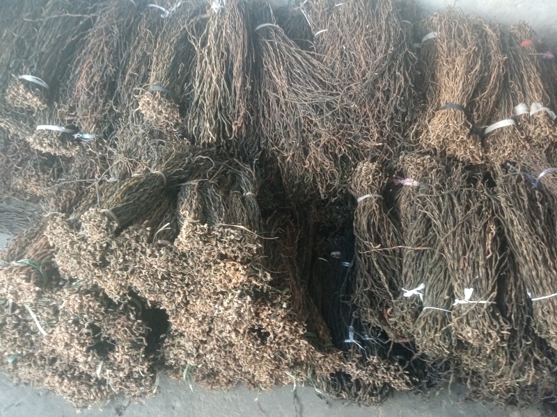 优质精品大量供应豆角干豆角干豇豆长豇豆鲜豇豆鲜豆角批发