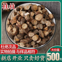 桂枝中药材桂枝精选桂枝500克包邮