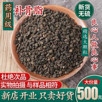 野生补骨脂中药材批发泡茶泡酒泡水关节打粉无硫磺