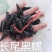 水产山坑螺