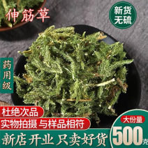 野生伸筋草透骨草中药材批发泡茶泡水泡脚包邮