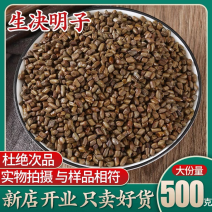 生决明子500g可泡水可装枕炒头包邮一手货源