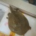 乌鳖