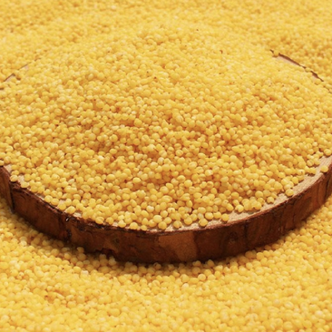 黄金小米小米厂家直销小米新粮小米金黄小米小米