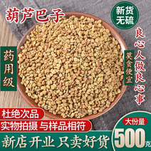 葫芦巴籽葫芦巴子天然纯新货中药材芦巴子苦豆种子