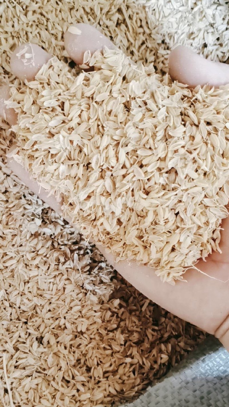 稻壳粉厂家直销稻壳粉稻糠除尘稻壳粉统糖稻壳粉厂