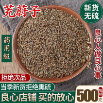 中药材茺蔚子充蔚子茺卫子茺玉子益母草籽坤草籽包邮