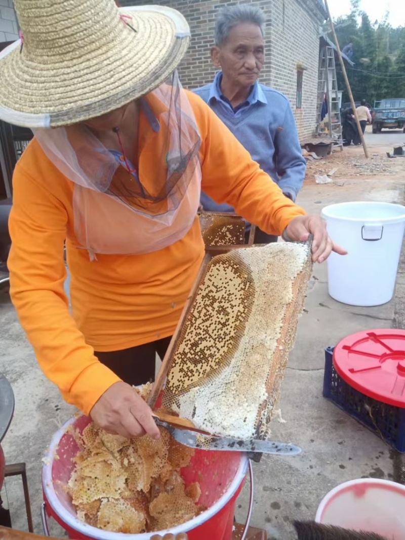 广东河源紫金农家蜂蜜百花蜜