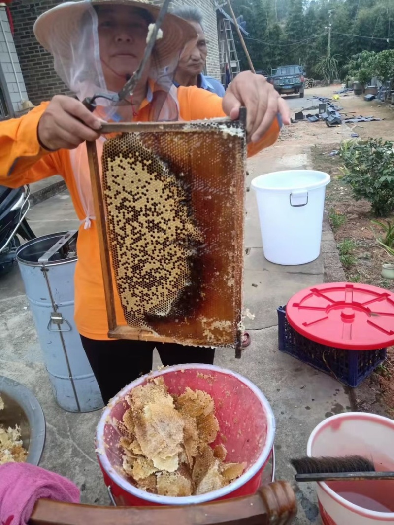 广东河源紫金农家蜂蜜百花蜜