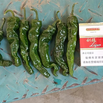 优质辣椒精品小邹皮辣椒大量上市，一手货源，全国直发