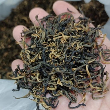 英红九号红茶自家种植有需要可以来电联系