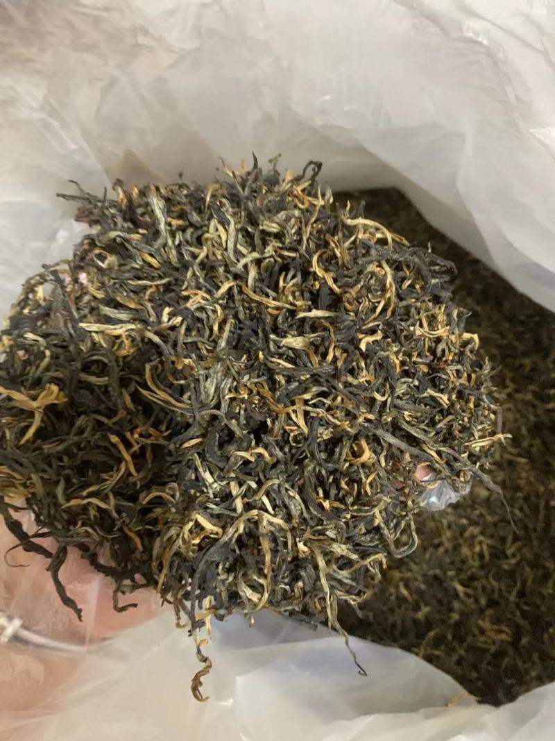 英红九号红茶自家种植有需要可以来电联系