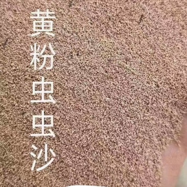 黄粉虫虫沙，黄粉虫虫沙，黄粉虫虫沙，黄粉虫虫沙。