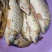 石斑鱼，马口鱼，鲫鱼，土鲤鱼，棍子鱼，黑鱼，黄骨鱼，鲶鱼