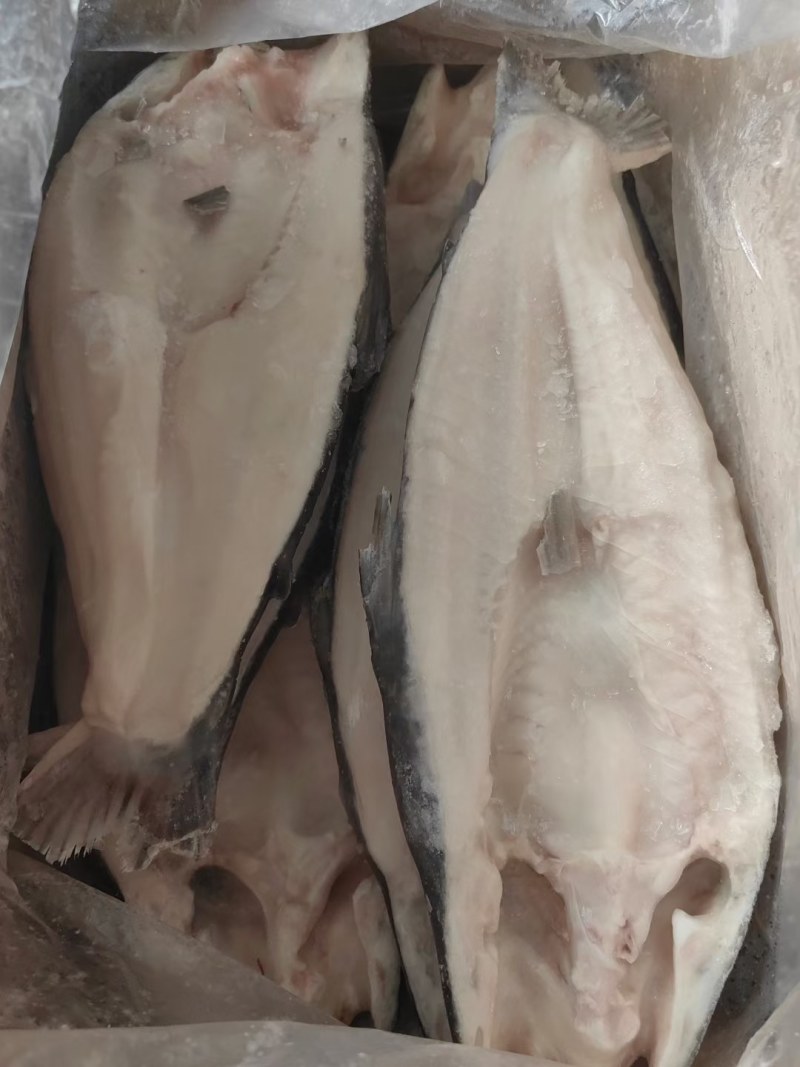 开背鱼巴沙鱼，肉质鲜美，价格美丽，让客户有钱赚