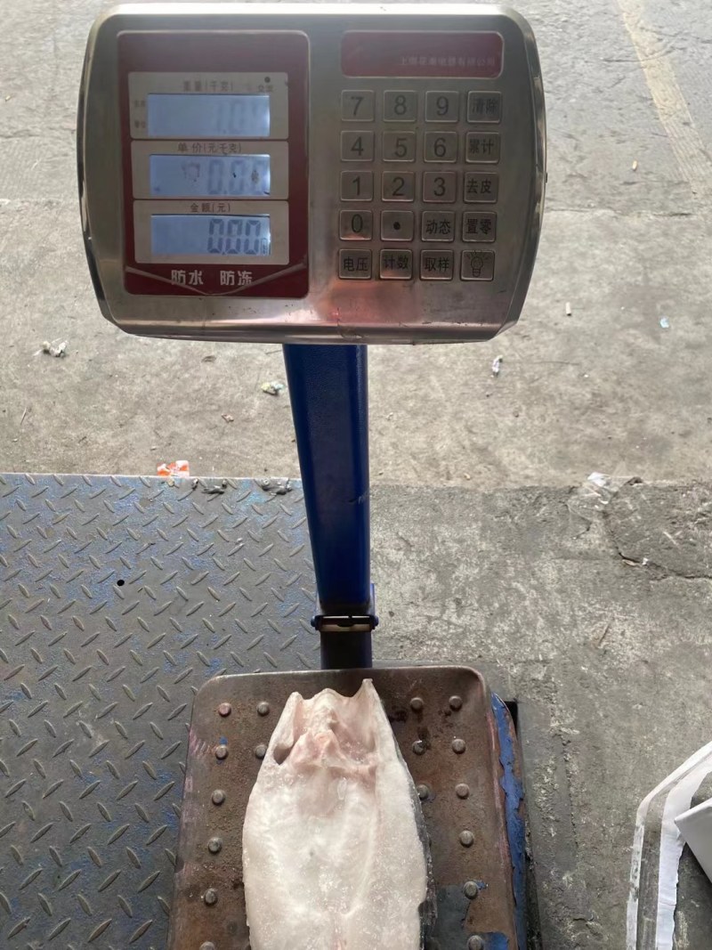 开背鱼巴沙鱼，肉质鲜美，价格美丽，让客户有钱赚