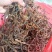 干豆角野豆角！3斤起批肉质软而不硬产地直发
