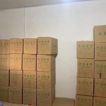 低端料临沧茶区挑好黄片初制所料，免费寄样