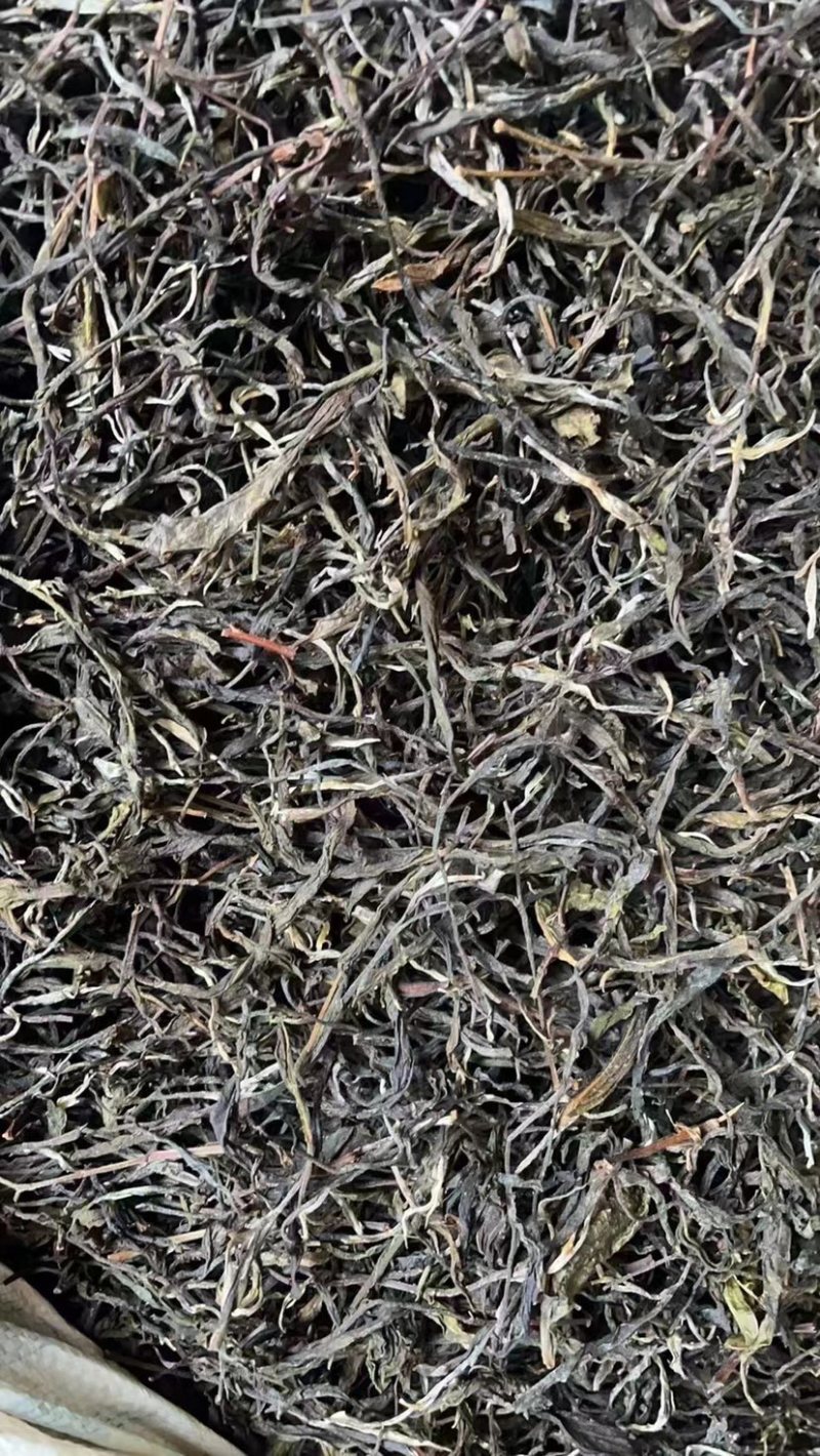低端料临沧茶区挑好黄片初制所料，免费寄样