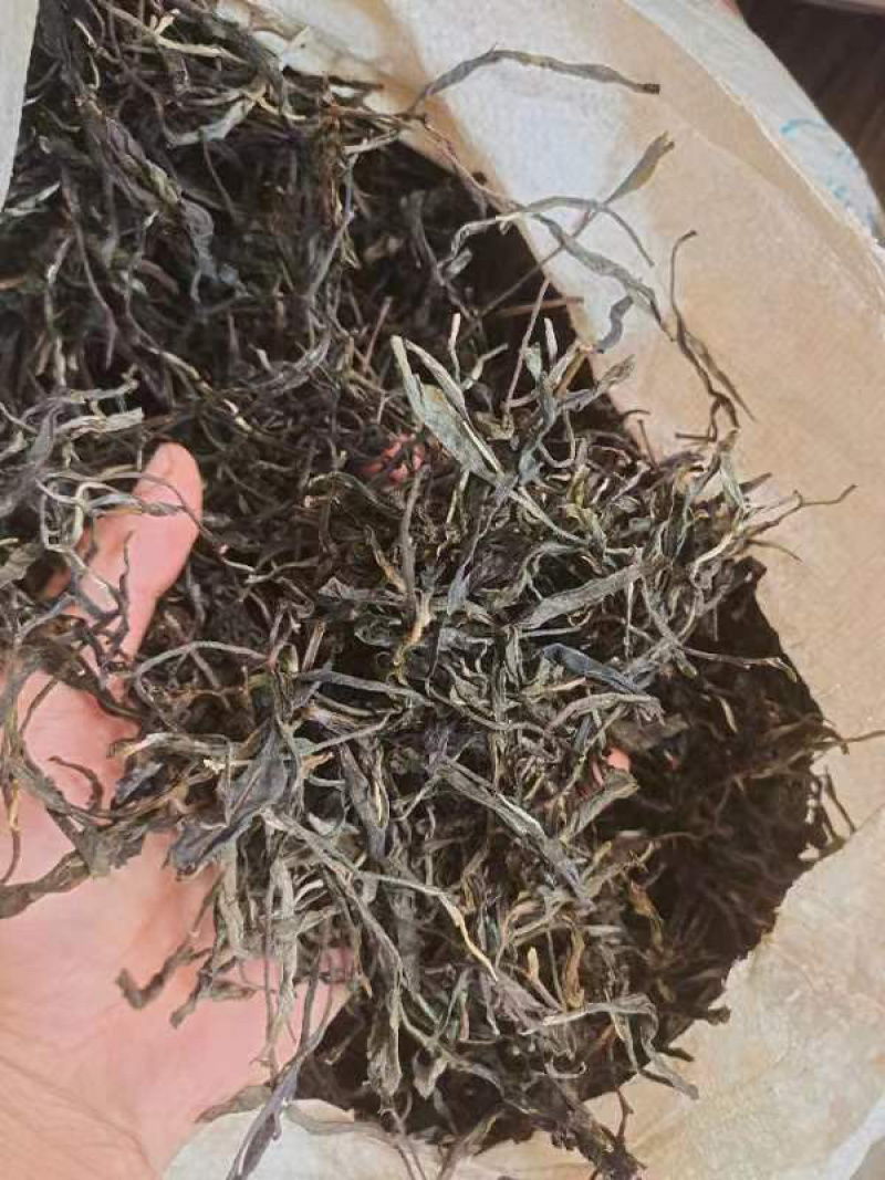 低端料临沧茶区挑好黄片初制所料，免费寄样