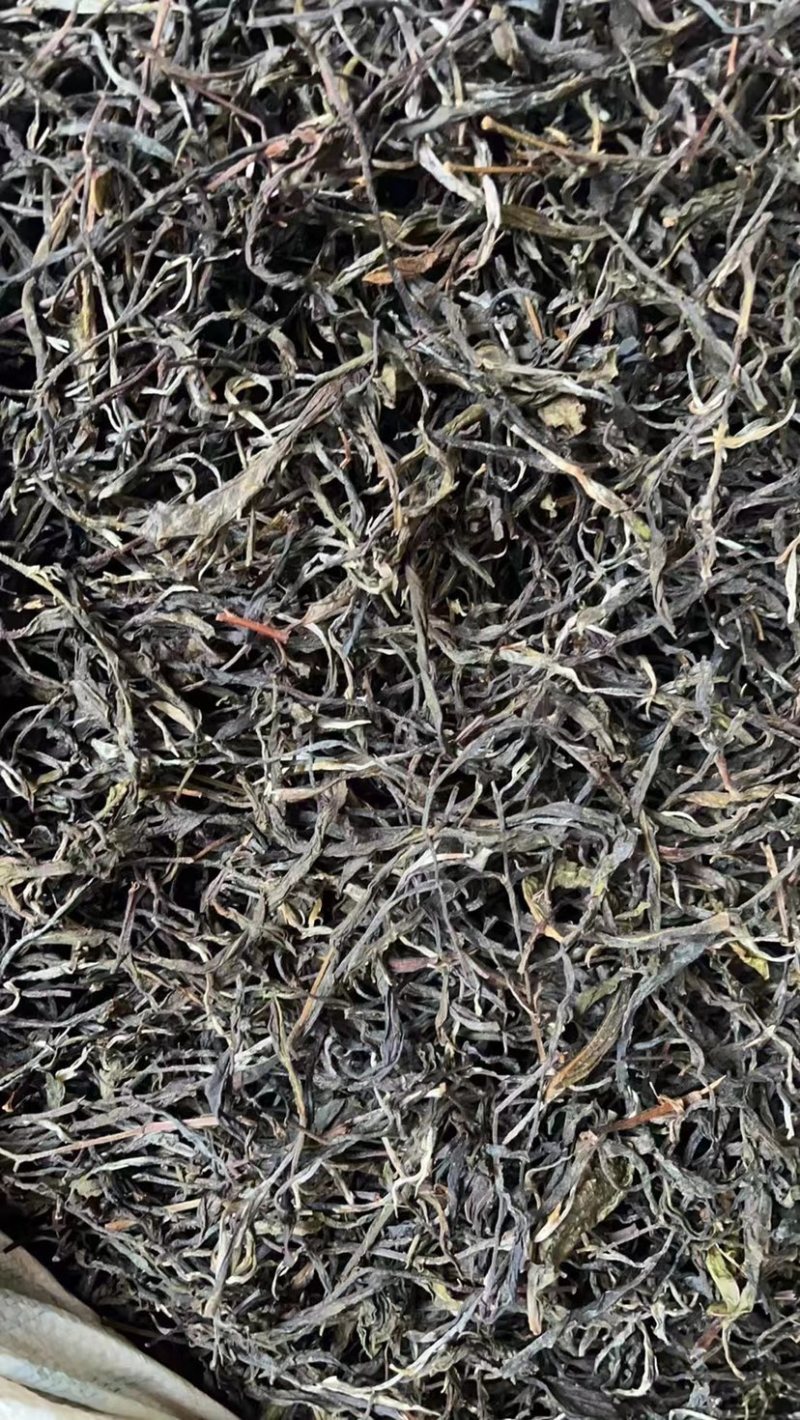 低端料临沧茶区挑好黄片初制所料，免费寄样