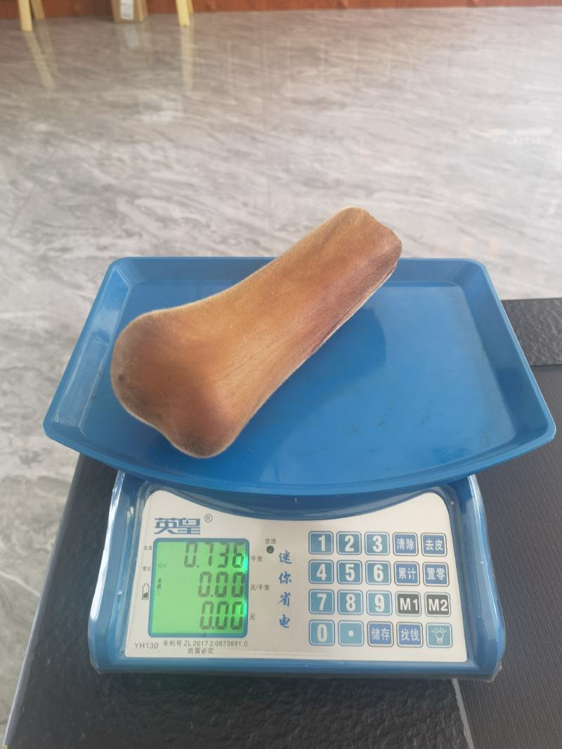 新割梅花鹿茸头茬二杠现货嘴头饱满蜡片多