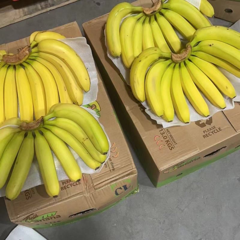 （包售后）黄金焦，特价焦超市活动炸街赶集各种规格