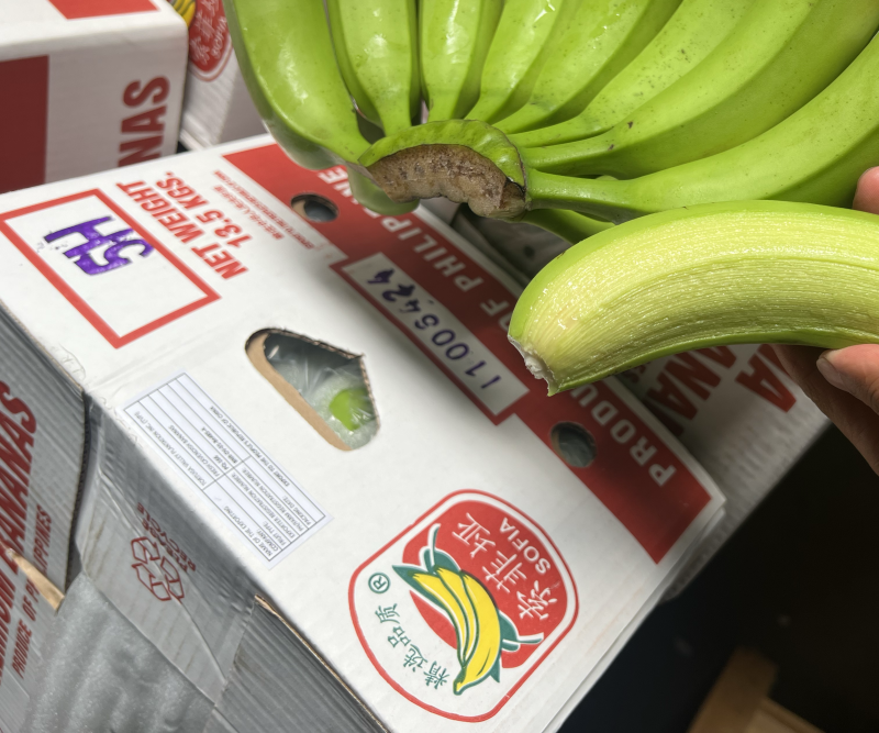 常年供应精品好蕉，特价香蕉，果面干净、黄金蕉不受寒