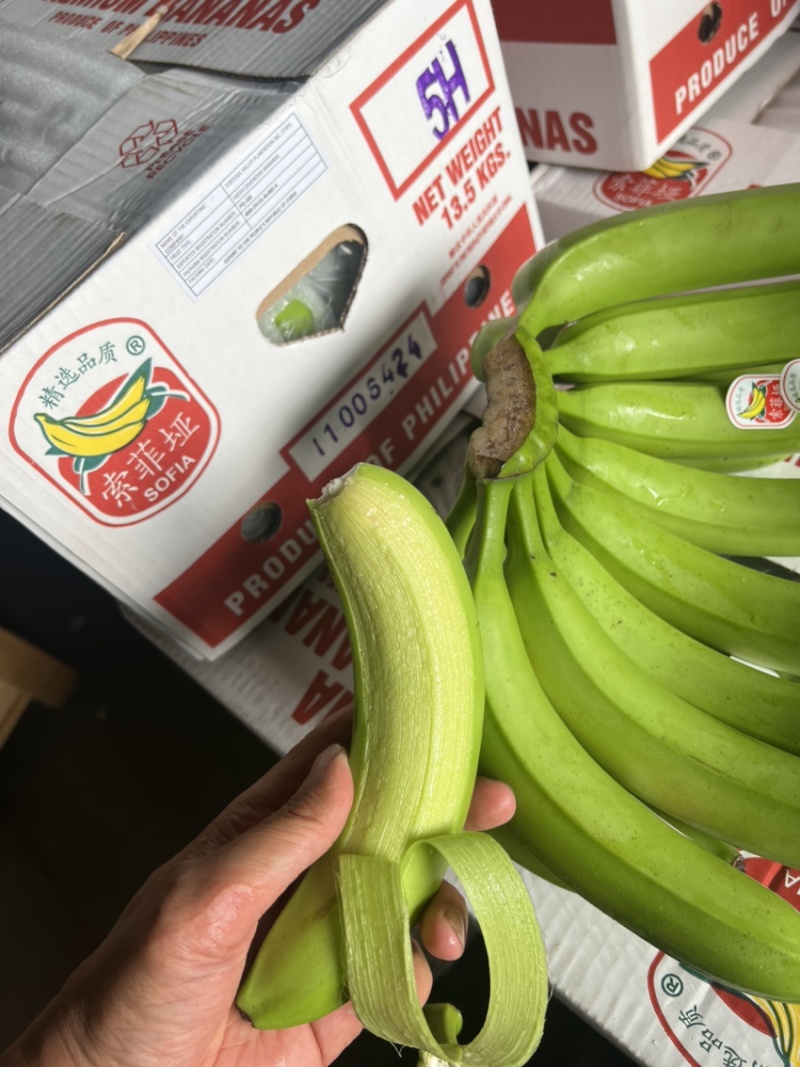 常年供应精品好蕉，特价香蕉，果面干净、黄金蕉不受寒