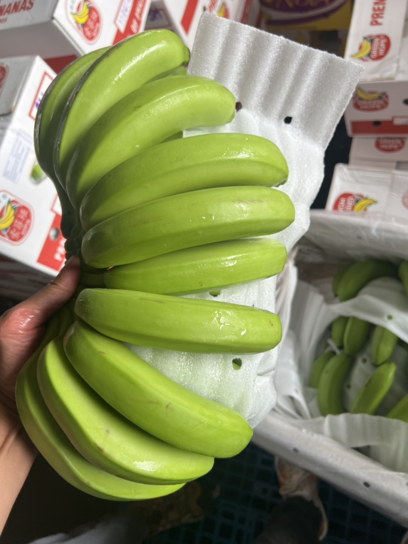 常年供应精品好蕉，特价香蕉，果面干净、黄金蕉不受寒